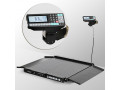 Весы платформенные с печатью этикеток МАССА 4D-LA-10/10-1000-RP