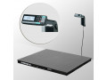 Весы платформенные с печатью этикеток МАССА 4D-PM-12/10-500-RL