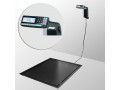 Весы платформенные врезные с печатью этикеток МАССА 4D-PMF-12/10-1000-RL