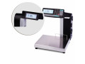 Торговые весы-регистраторы с печатью чеков и этикеток МАССА МК-6.2-R2L10-1